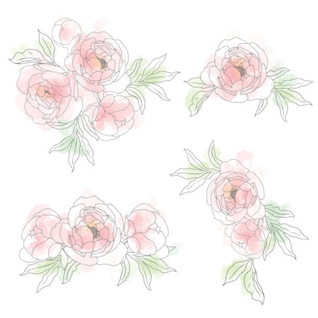 loose watercolor doodle line art peony flower bouquet elements collectionのイラスト素材