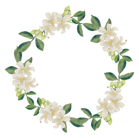 watercolor white murraya orange jasmine flower bouquet wreath frameのイラスト素材