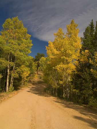 Fall begins on a road outside Allenspark, Coloradoの写真素材