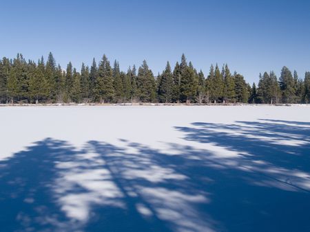 Shadows & Trees - Sprague Lake, Rocky Mountain National Parkの写真素材