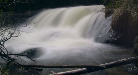 Power of Spring -  Rocky Mountain National Parkの写真素材