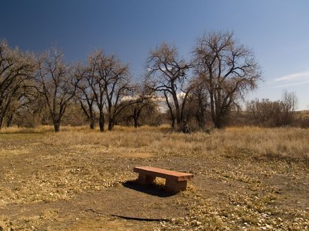 Rural Bench - A March scene of a bench for a rest along a rural pathway.の写真素材