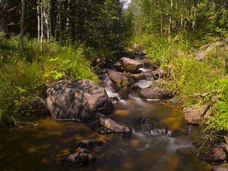 Stream Through a green forest in Rocky Mountain National Parkの写真素材