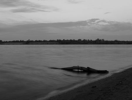 A meditation a lake shore and driftwood - Lake Mitchell, South Dakotaの写真素材