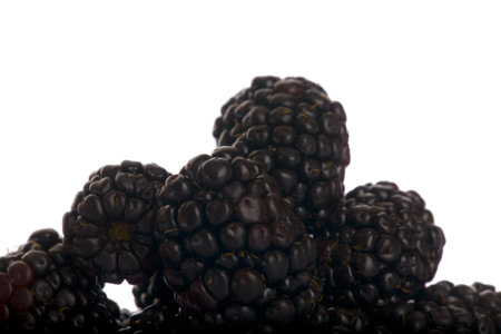 Blackberries in a macro close up image on a white background