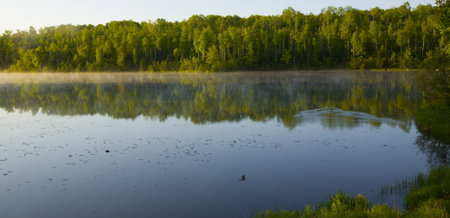 Minnesota summer morning at Deepwater Lakeの写真素材