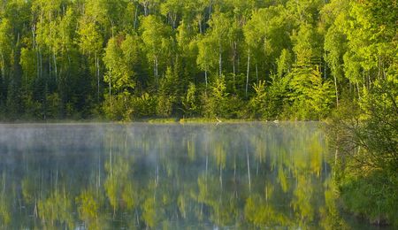 Mist dances with the morning forest on Deep Water Lake in Northern Minnesotaの写真素材