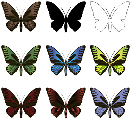 Set of butterflies. Silhouette, outline and painted. Gradient and fantastic color.のイラスト素材