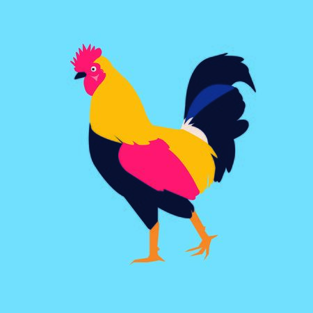 Ayam kampung (the chicken breed) rooster colorfulのイラスト素材