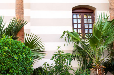 The window in the building. Before him palm branches and bushes. Hurghada, Egypt. Africa.