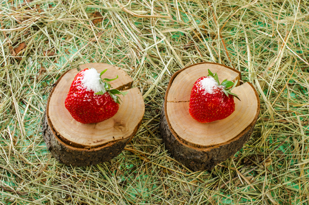 Strawberries on the stump, sprinkled with sugar. Against the background of hay.の写真素材