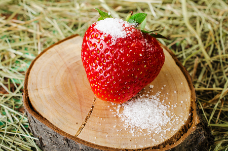 Strawberries on the stump, sprinkled with sugar. Against the background of hay.の写真素材