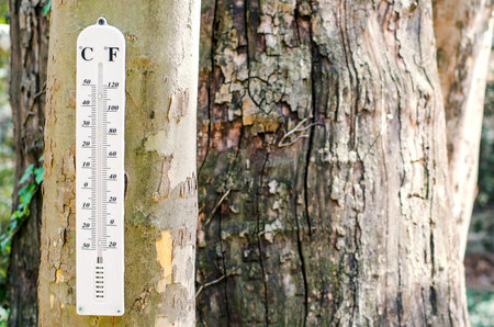 Wooden thermometer outside  on the tree in nature. Meteorology and forecasting weather.