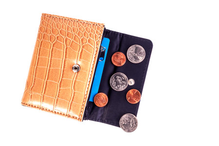 Open brown beige leather pocket wallet with coins one cent and a quarter dollar nearby. Financial...