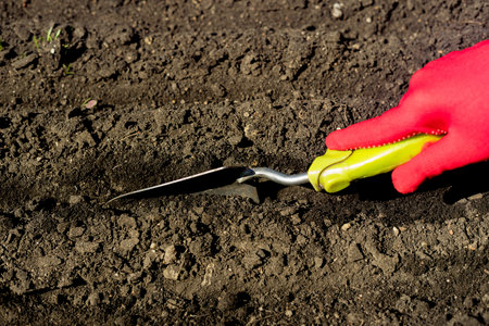 Preparing garden beds in greenhouse in early spring. Home gardening concept.