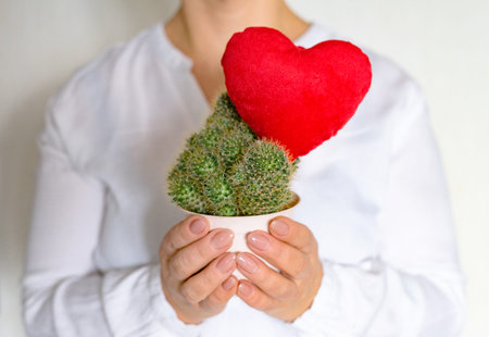 Caucasian woman hold cactus with red toy heart on it. Love, health-care and home gardening concept....