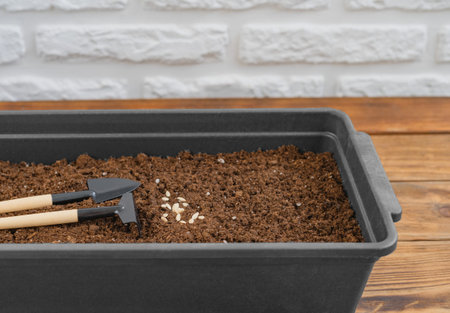 Cultivation tray with rake, shovel and cucumber seeds on wooden table. Ecology, gardening and leisure concept. Shallow depth of field. Close-up view.の写真素材