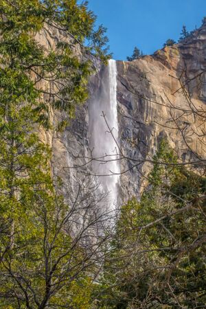 Bridalveil Falls in Yosemite Natonal Park behind treesの写真素材