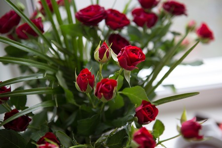 beautiful flowers rose buds on a gift boxの写真素材