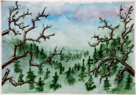 landscape trees owl sitting on a branchの写真素材