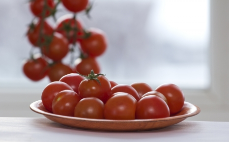 cherry tomatoes on a branchの写真素材