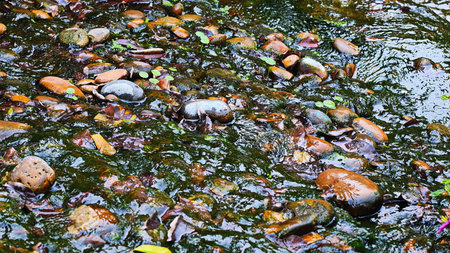 A river that flows over stone.