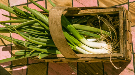 Green onions in a small wicker basket made by handの写真素材