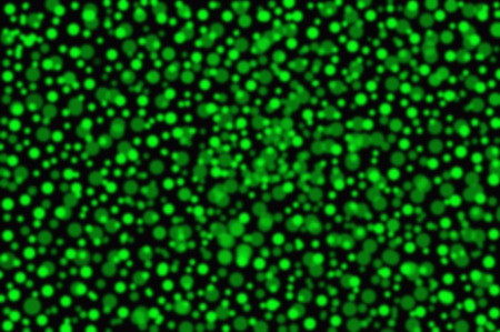 Multiple Size Of Bright Blur Circles Over Black Background For Background の写真素材