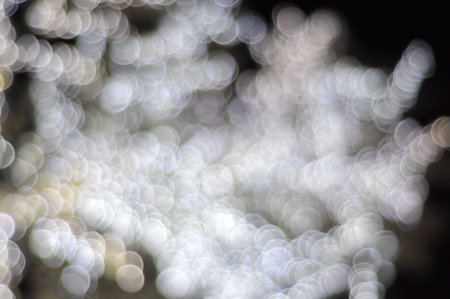 Abstract Circular Bokeh Background From Light Treeの写真素材