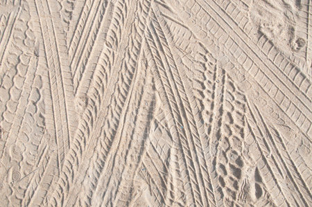 Car And Truck Tyre Mark On The Sand