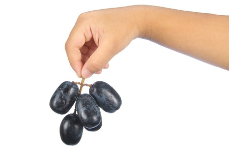 hand holding delicious and fresh black seedless grape isolated on white.の写真素材