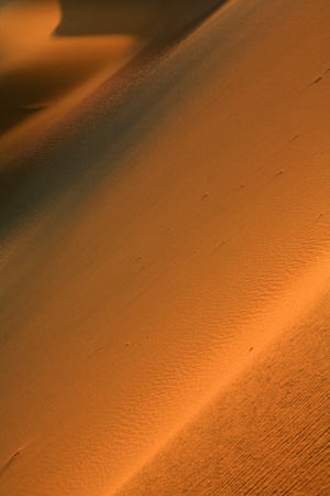Death Valley is a desert valley located in Eastern California.の写真素材