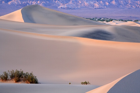 Death Valley is a desert valley located in Eastern California.の写真素材