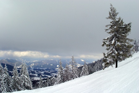 Carpathian Mountains are located in the Western Ukraine and take over 4% of the territory of Ukraine.の写真素材