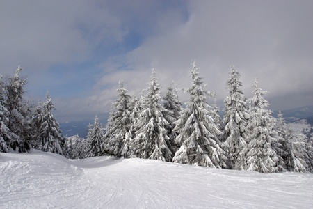 Carpathian Mountains are located in the Western Ukraine and take over 4% of the territory of Ukraine.の写真素材