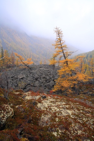 The Altai Mountainsの写真素材