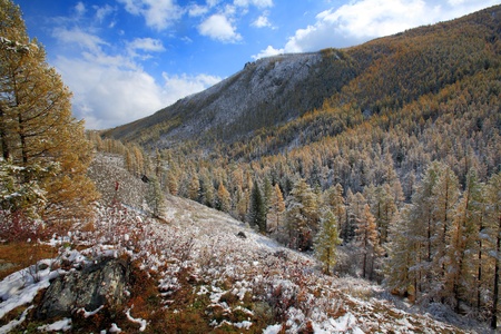 The Altai Mountainsの写真素材