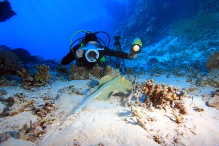 Diving in the Red Seaの写真素材