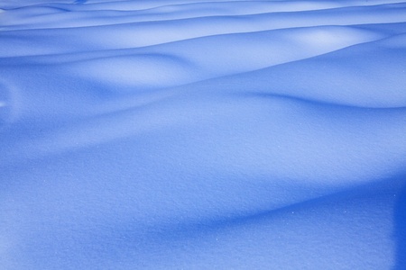 Winter forestの写真素材