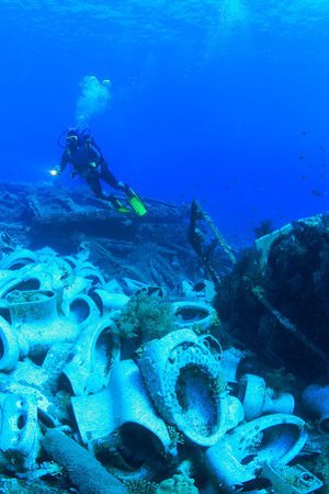 Marine Life in the Red Sea 