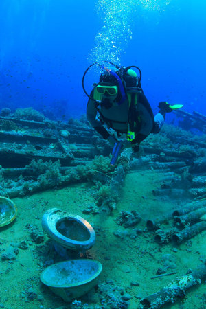 Marine Life in the Red Seaの写真素材
