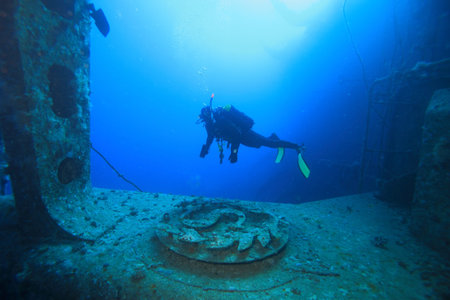 Diving in the Red Sea