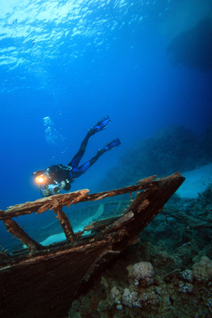 Diving in the Red Sea