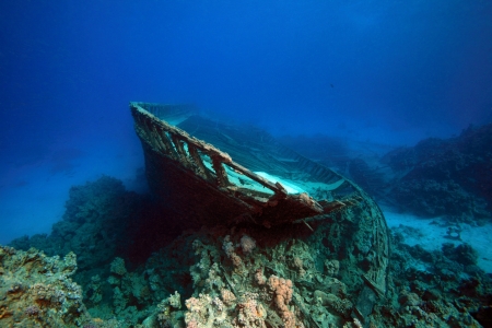 Diving in the Red Seaの写真素材