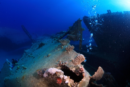 Diving in the Red Seaの写真素材