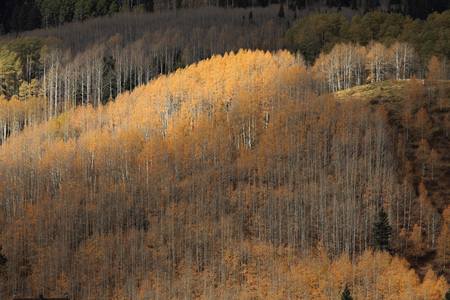indian summer in coloradoの写真素材