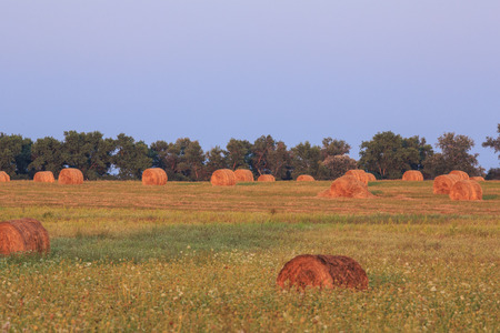 haystacksの写真素材
