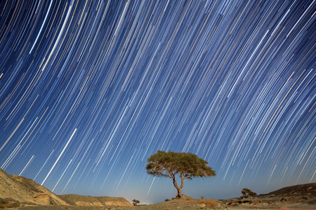 Star tracks in Marsa Alam, Egyptの写真素材