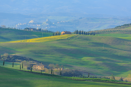 Rolling hills of Tuscany, Italyの写真素材