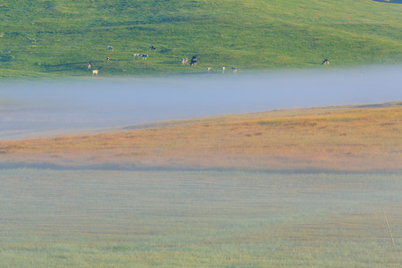 Morning fog in the Alps, Dolomites, Italyの写真素材
